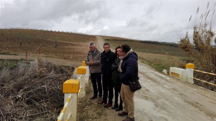 Arreglo de camino de la Viña en Fernán Núñez (Córdoba)