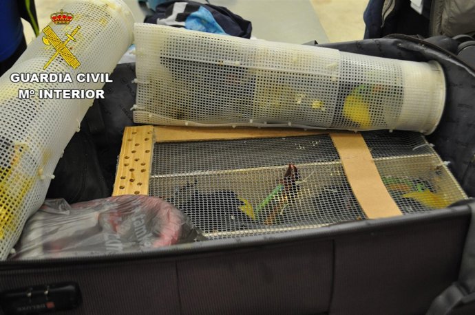 Nota De Prensa Aves Y Tucanes Barajas