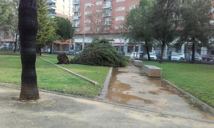 Incidencia por el temporal de viento en Huelva capital