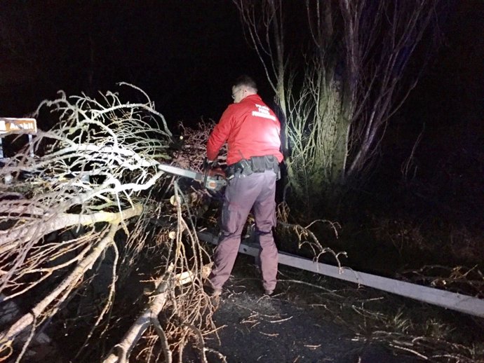 Policía Foral cortando árbol que ocupaba un carril de la A1 en Uharte.