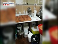 Dos detenidos por elaborar comida china en condiciones insalubres y venderla en tiendas