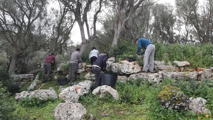 Expedición arqueológica