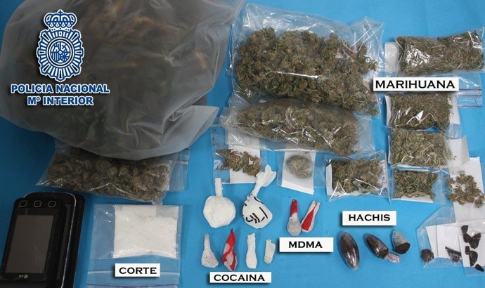 Detenidas 19 personas en la Operación Itínere en Pontevedra