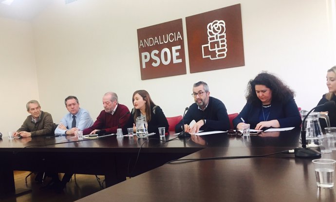 Ejecutiva provincial del PSOE.