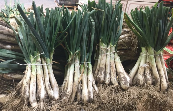 Calçots, mercabarna