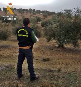 * La Guardia Civil Investigo A La Propietaria De Una Explotación Agrícola Quien 