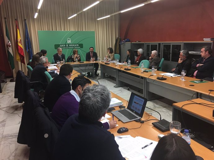 Comisión de seguimiento del Plan de Depoerte en Edad Escolar de Andalucía.