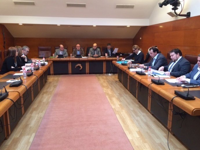 Comisión de enmiendas parciales