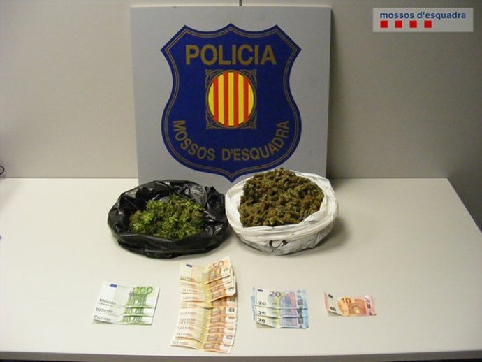 Agencia Catalana de Noticias