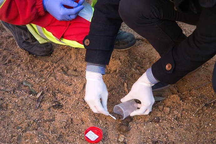 Análisis de heces en Mislata