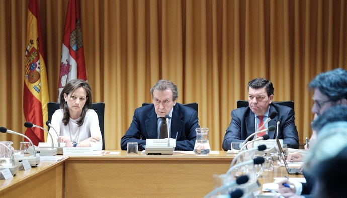 Reunión Consejo de Cooperación Local