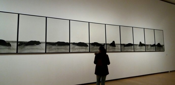 Exposición de Helena Almeida en el IVAM