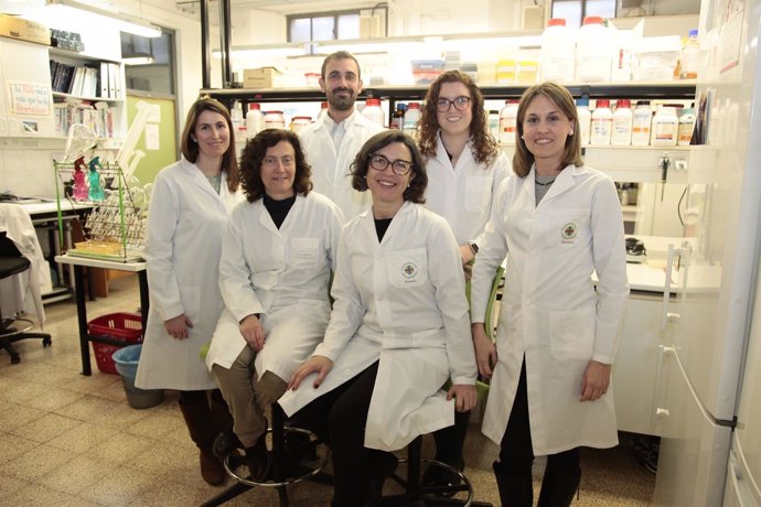 Investigadores de la UCH-CEU