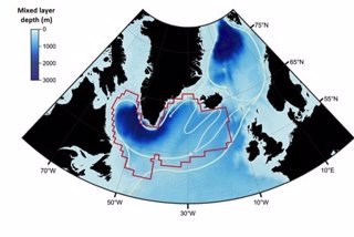 Circulación en el Mar de Labrador, dentro del giro subpolar  (línea roja)