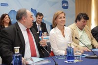 Cargos del PP dan por sentado que Cospedal repetirá como líder del PP castellanomanchego