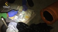 Desmantelan en Almería una red de tráfico de droga con 24 detenidos y el decomiso de 2.700 plantas de marihuana