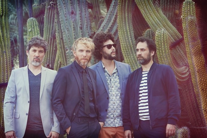 Elefantes En Santander