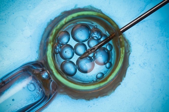 Fecundació in vitro, tractament fertilitat