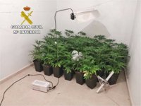 Desmantelan en Aspe una plantación de marihuana en una vivienda okupada propiedad de un banco