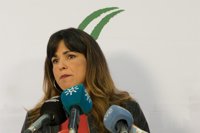 Podemos Andalucía defenderá su autonomía ante el nuevo Consejo Ciudadano de Iglesias