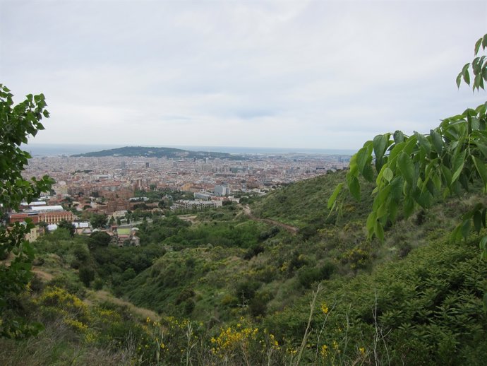 Parc De Collserola
