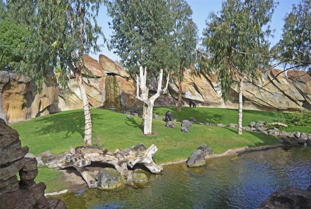 Imagen del interior del Bioparc de València