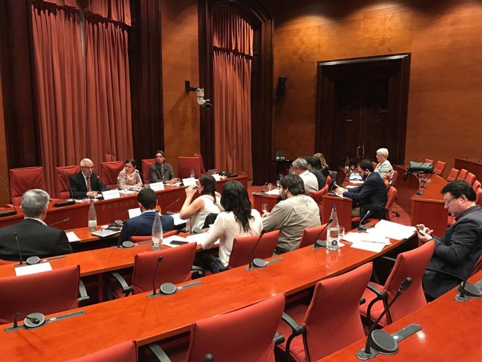 Comissió d'Exteriors del Parlament