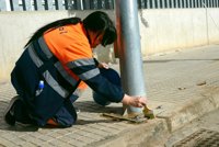 Paiporta prueba un nuevo tratamiento ecológico repelente de la orina de perros con "efecto rebote"