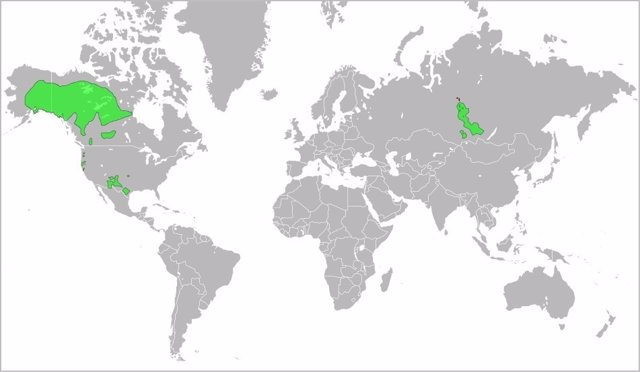 Distribución de lenguas dené-Yeniseicas en el siglo XVII