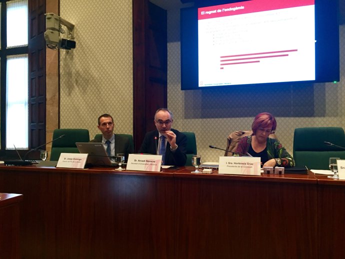 J.Domingo i A.Navarro, al Parlament