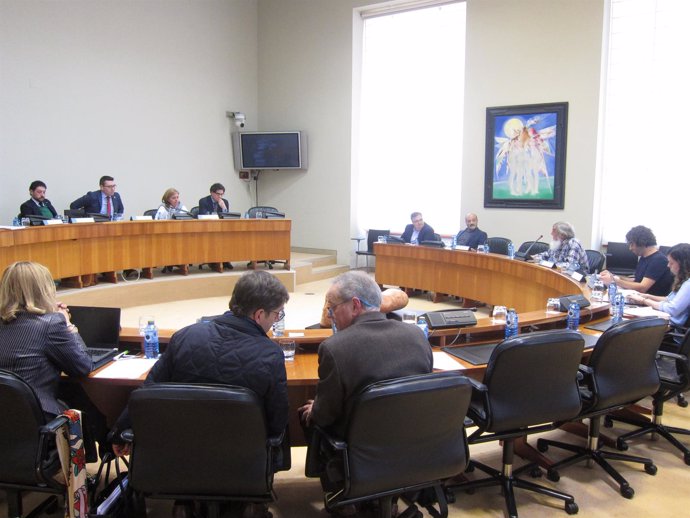 Comisión de Agricultura en el Parlamento de Galicia.                         