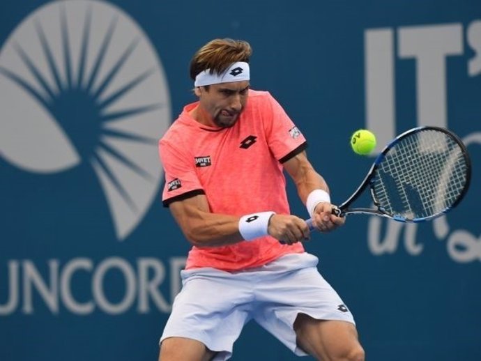 David Ferrer en el Brisbane International