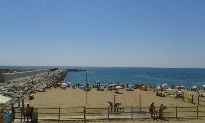 Playa para perros en Barcelona