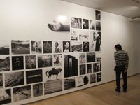 Ocho becarios de la Fundación Botín recorren el arte más reciente en la muestra 'Itinerarios XXII'