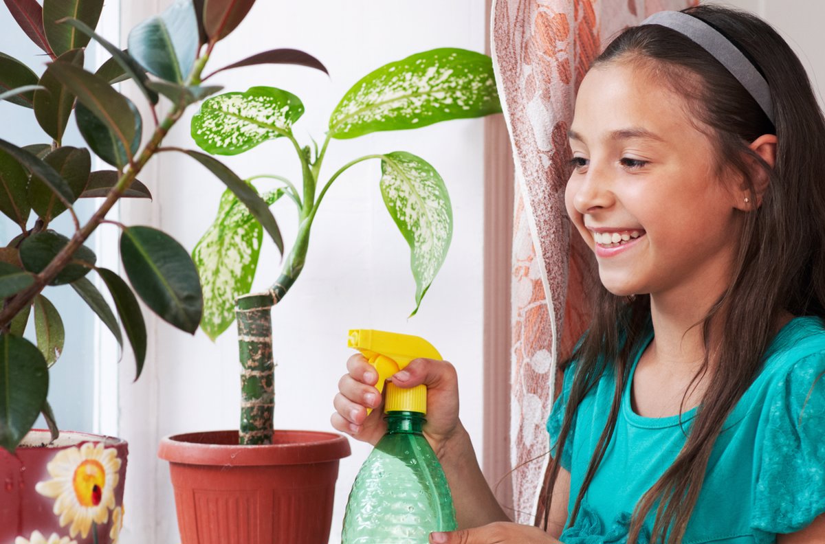Cómo cuidar nuestras plantas: enseña a tus hijos en casa