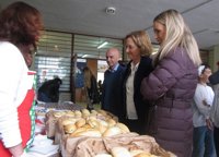 La Junta reparte 20.818 botellas de aceite de oliva a escolares en un desayuno saludable por el Día de Andalucía