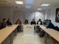 PSOE pedirá a Gobierno que declare los accesos al chare de Lepe de interés general "para que sean prioridad"