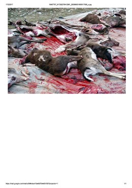 Imagen de la montería denunciada por IU