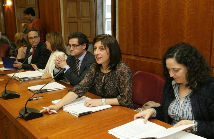 Consello Forestal de Galicia