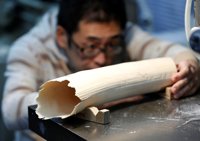 Japón presenta un proyecto para intensificar los controles en el mercado de marfil, legal en el país nipón