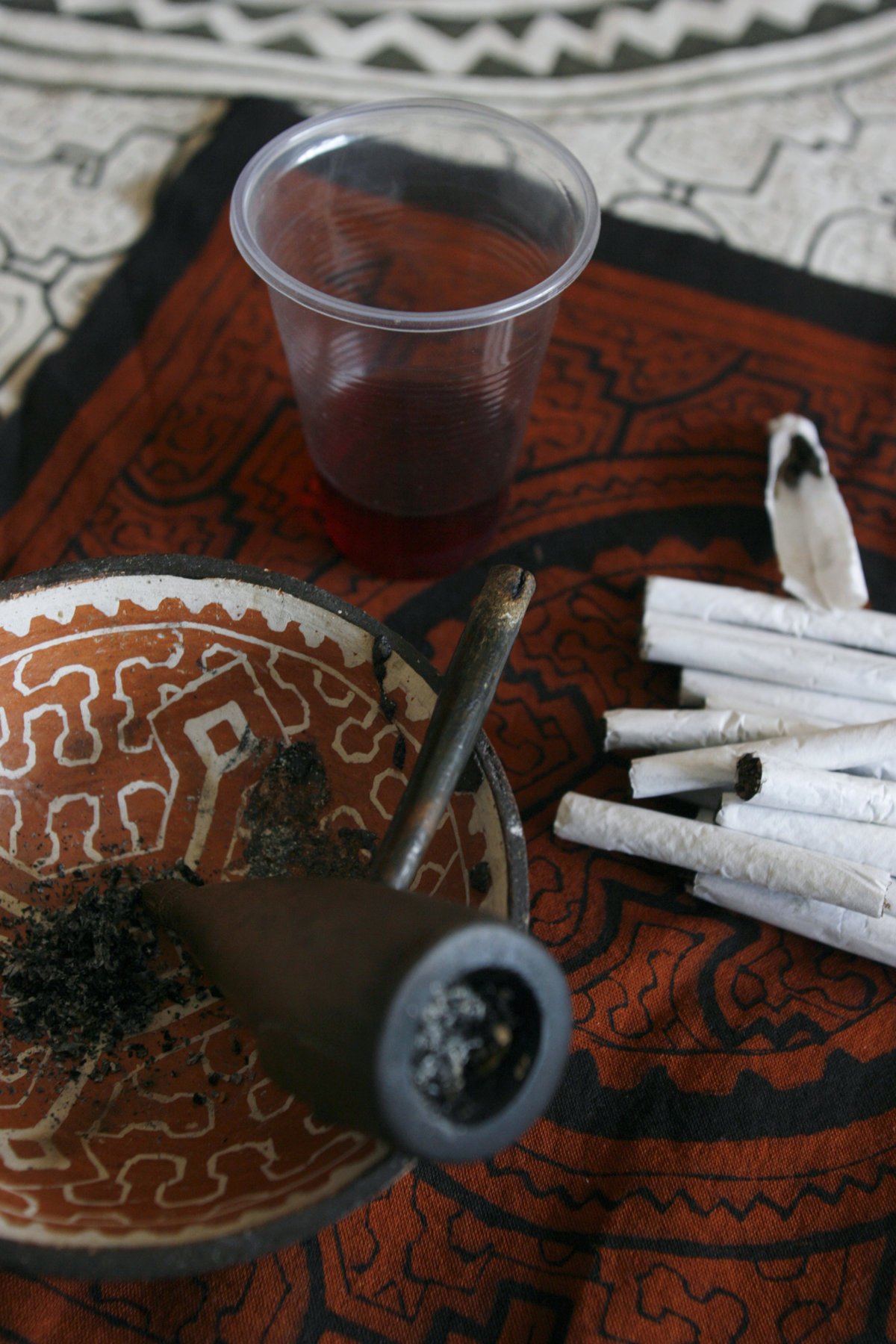 Ayahuasca, la "droga dura" de Sudamérica que "purga el cuerpo y