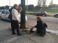 PP lamenta "daños en el pavimento" de la avenida de Dinamarca de Sevilla, "totalmente abandonada y degradada"