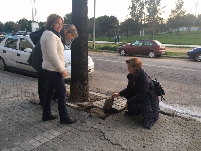 PP avisa de daños en avenida de Dinamarca de Sevilla