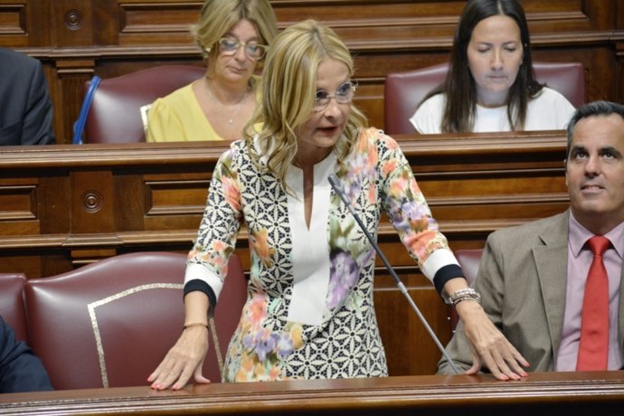 El Pp Lleva Al Parlamento La Bajada Del Igic, Un Plan De Choque Contra El Paro J