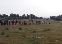 Liberados dos nuevos ejemplares de lince ibérico en la zona de reintroducción del río Guarrizas en Jaén