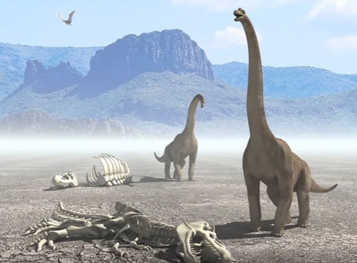 Sabías que el meteorito que acabó con los dinosaurios cayó en México?