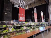 Arranca el escrutinio de los votos emitidos para la 'gran consulta ciudadana' impulsada por el Ayuntamiento