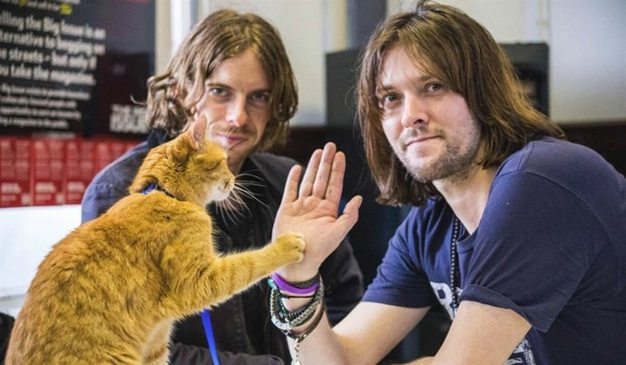 Un gato callejero llamado Bob