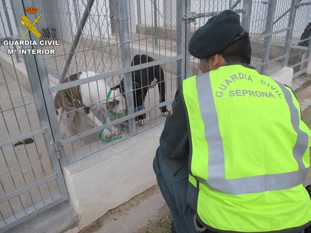 Un agente observa a dos de los perros que al parecer mataron a un vecino en Beni