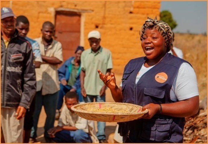 Angola codespa proyecto